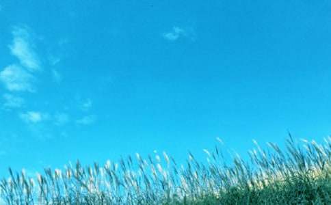 �����ڴ��L(f��ng)������800��