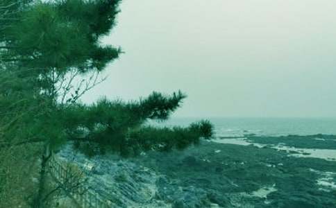 ���؂䡿���L(f��ng)������300��4ƪ