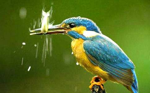 �茑���B�ĸ��Ѓ�(y��u)�����ģ����x42ƪ��