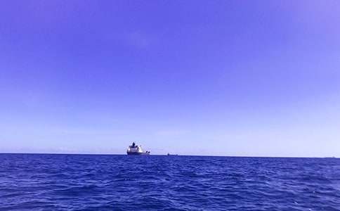 ���x������600����ƪ