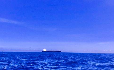 有關(guān)迷人的大海作文三篇