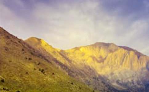 �߳���ɽ׷��������ģ����x11ƪ��