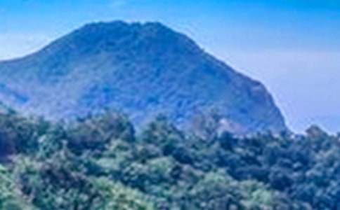 �����A����ɽ����500����ƪ