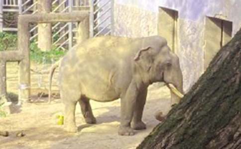 ��������300�֣�ͨ��28ƪ��