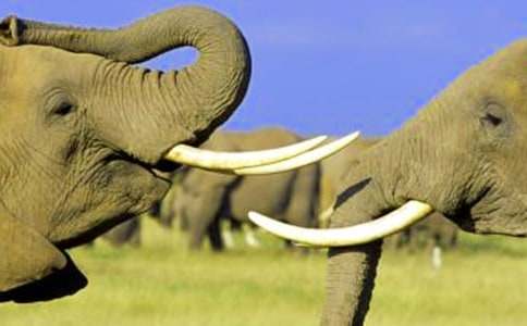 ����Ʒ����������300��3ƪ