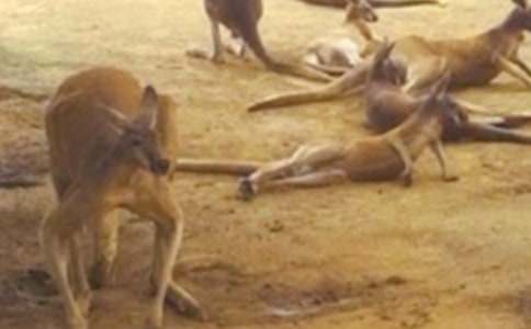 ���������500�֣�ͨ��13ƪ��