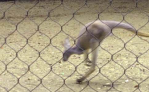 ���������500�֣�ͨ��34ƪ��