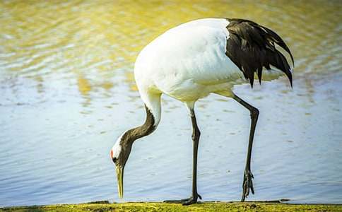 ����Q����400�֣�ͨ��44ƪ��