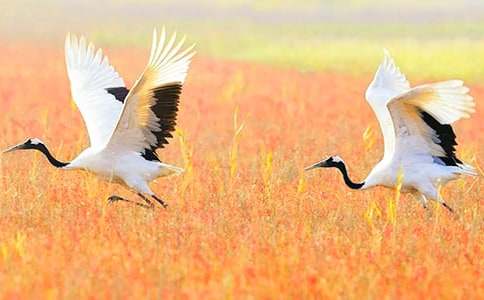 ����Q����300�֣�ͨ��17ƪ��