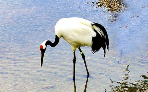 ����Q����500��