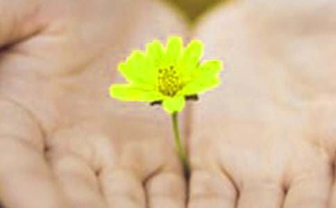 【精品】道歉作文300字三篇