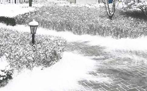 ����2022�������W������400�֣�ͨ��6ƪ��