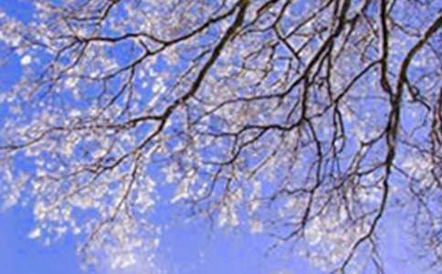 ���P(gu��n)����ă�(y��u)������