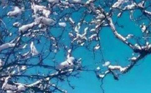 喜愛的冬天作文