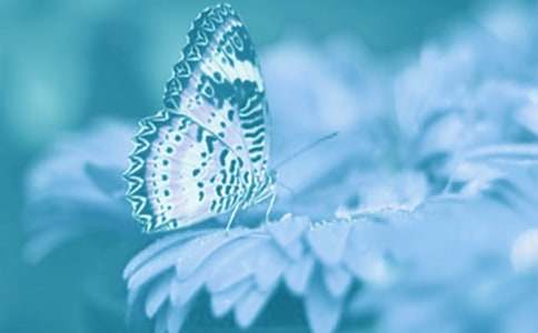 ��(d��ng)ֲ�����Ҫ������500��