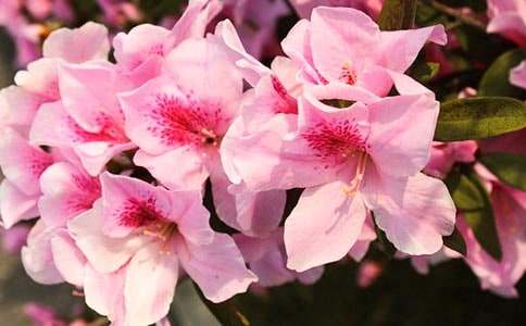 �����x�����N������8ƪ