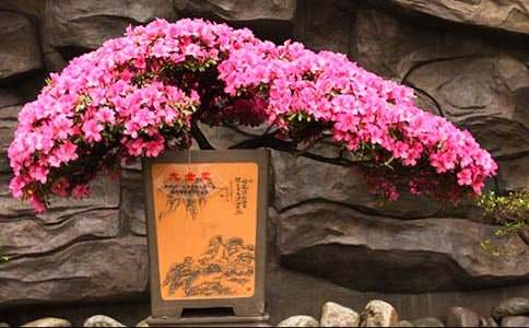 �����x�����N������9ƪ