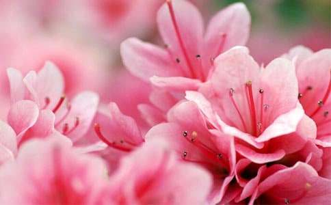 ���N�����ķ���