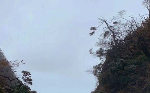 ��üɽ��˼��ҹ����700��