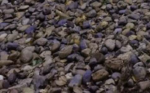 描寫(xiě)鵝卵石的作文400字(通用26篇)