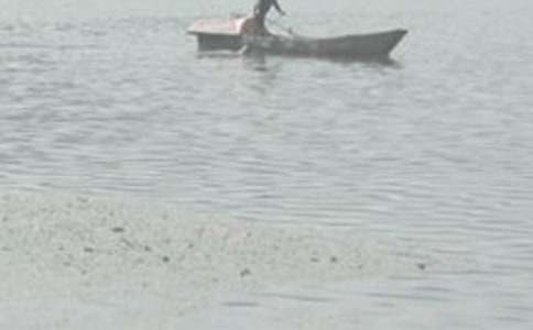 月夜泛舟作文1000字