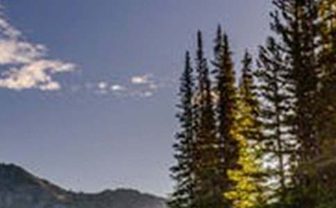 ��Ϥ�ĵط�Ҳ���L(f��ng)��600������