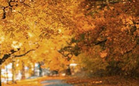 帶你去看最美的風(fēng)景作文1200字(精選24篇)