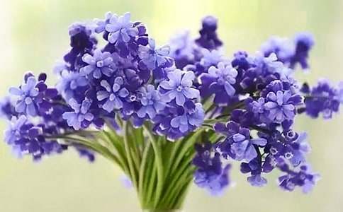 �茑�L(f��ng)���ӵ�����400�֣����x74ƪ��