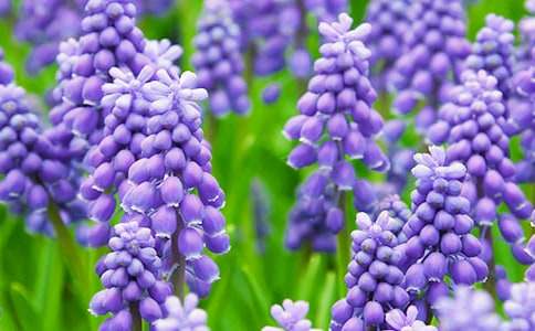 ���꼉�茑�L(f��ng)���ӵ�����400��