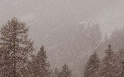 �L(f��ng)ѩ�е���ʿ����