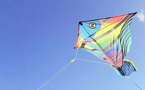 ���L(f��ng)�~������800�֣�ͨ��12ƪ��