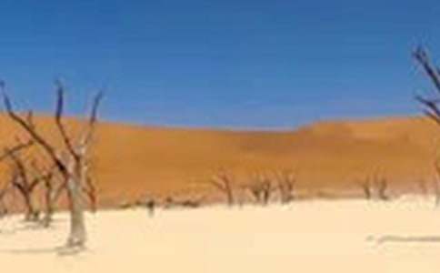 西南干旱的感想800字作文