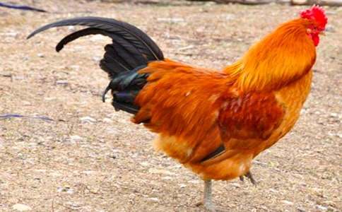 С�þ�С���u����