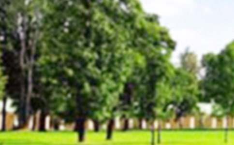 �P(gu��n)�ڱ����쉯���@����400�֣����x20ƪ��