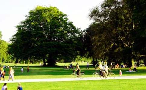 游玩數(shù)字公園作文