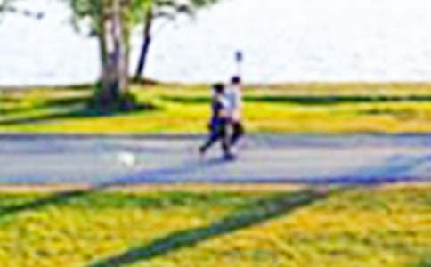 公園游記作文2000字(通用15篇)