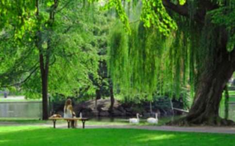 ϲ�gȥ�ӞI���@����500�֣����x16ƪ��