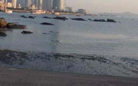 �茑���ˎZ������600��