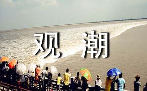 觀潮作文600字6篇