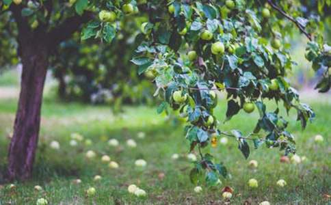 ������ɳƺ���@����