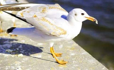 �P(gu��n)�ں��t����300��3ƪ