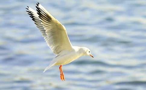 ���c���tͬ������1200��