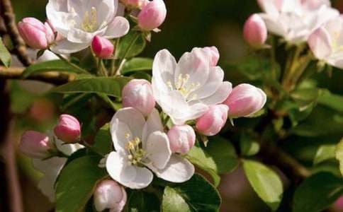 �P(gu��n)�ں�������500�־�ƪ