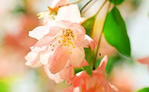 �茑���Ļ�������600�֣�ͨ��29ƪ��