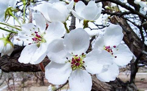 ��������500�ֺϼ���ƪ