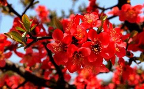 �P(gu��n)�ں�������500��7ƪ