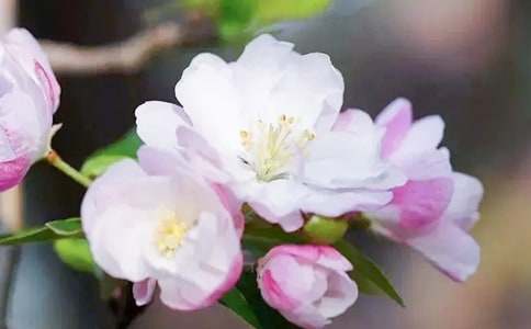 �P(gu��n)�ں��Ļ�������600�֣����x25ƪ��