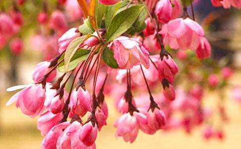 �����]����������500��4ƪ