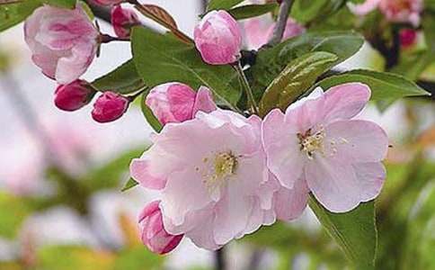 �����ĺ��Ļ�����400��