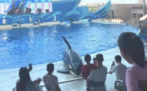 �Ͼ����󹫈@����300��